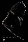 Predators Poster