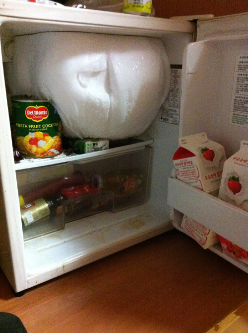 I got this in freezer after I came back from two day travel